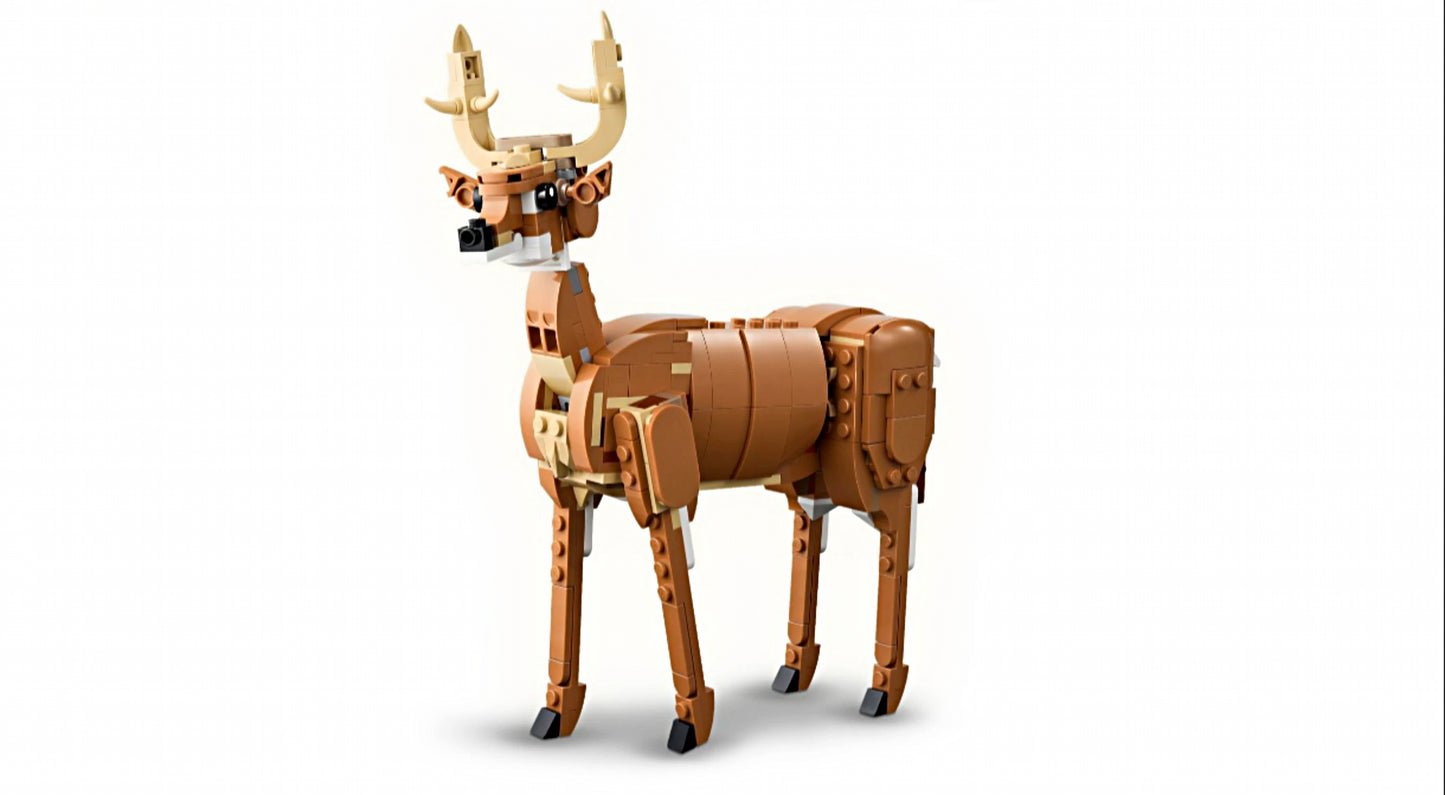 LEGO CREATOR 3in1 PrÀchtiges Ross