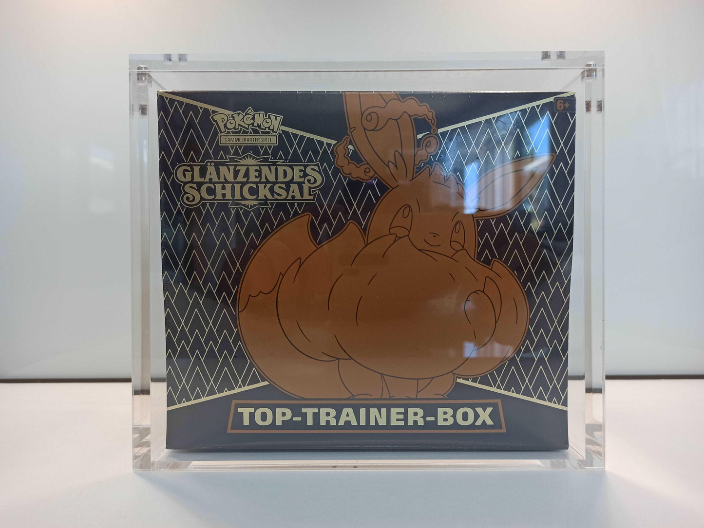 Acryl Schutzbox Case für Pokémon Celebrations Top Elite Trainer Box - Peer Online Shop