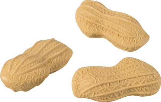 Radiergummi Erdnuss - Lustiger Radierer für Schule & Büro