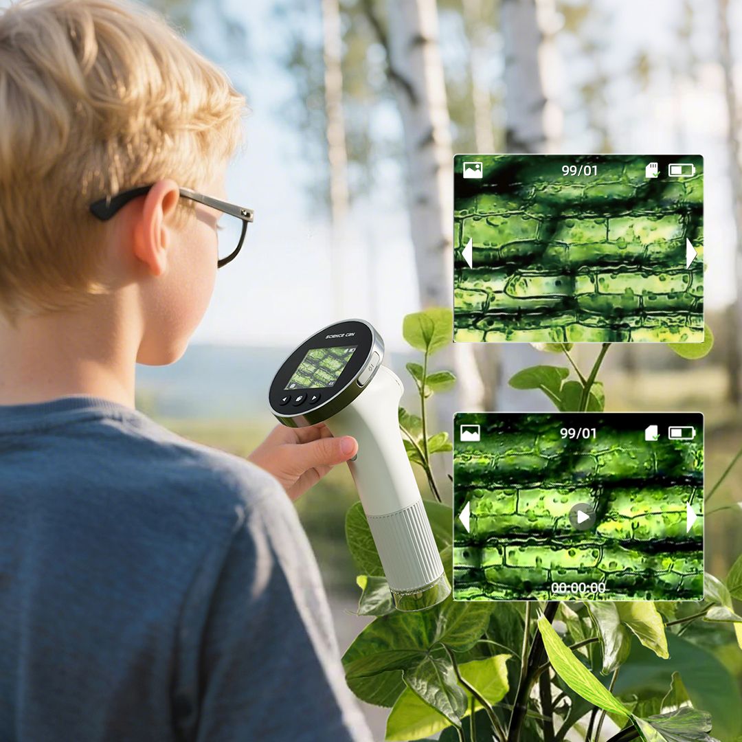 Science Can Mikroskop 1000 Vision – mit Display