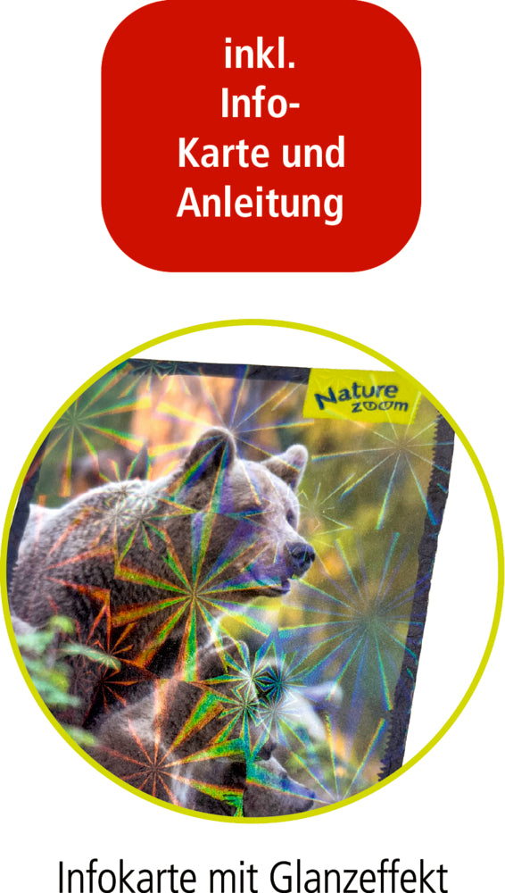 Spiegelburg Nature Zoom 3D Mini-Bausatz Bär 59 Teile