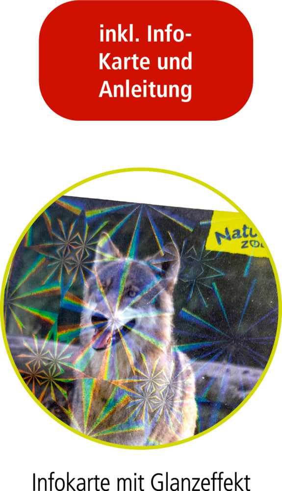 Spiegelburg Nature Zoom 3D Mini-Bausatz Wolf 58 Teile