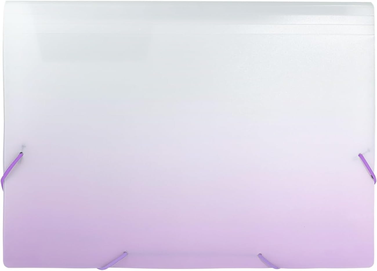 Idena Fächermappe PP 12 Fächer DIN A4 weiß/lila Color Ed.