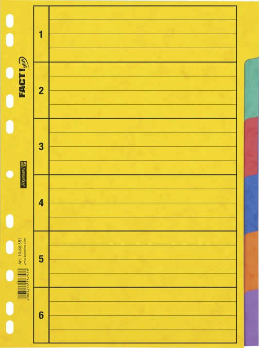 Premium Ringbuchregister A4 - 6 Farbregister für perfekte Organisation