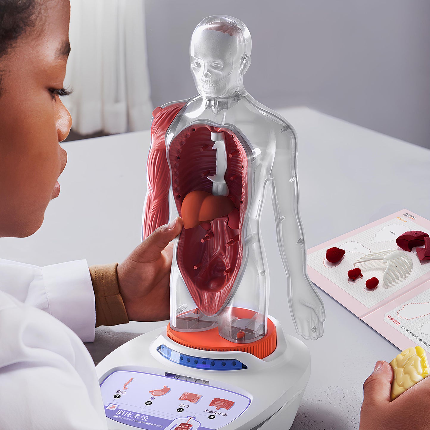 Science Can Mein Körper – 3D-Anatomiemodell interaktiv