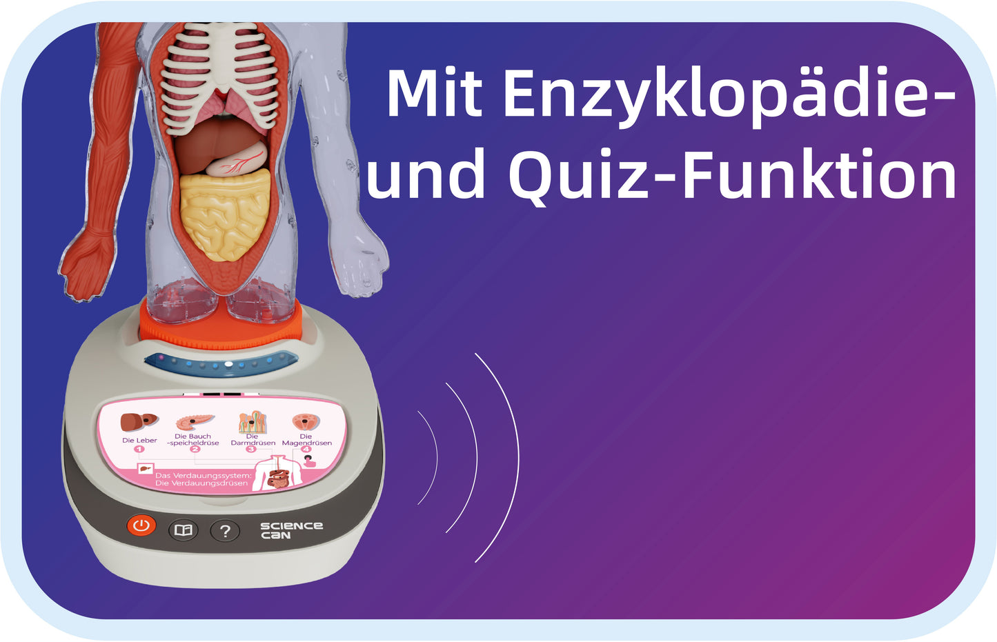 Science Can Mein Körper – 3D-Anatomiemodell interaktiv