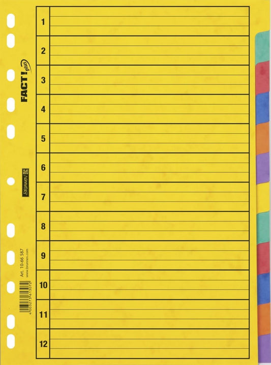Premium Ringbuch-Register A4 - 12 Tabs in 6 Farben für perfekte Organisation