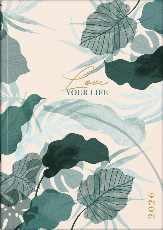 rido/idé Buchkalender Young Line 2026 'Love' - A5 Tageskalender