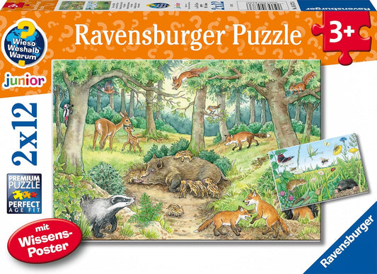 Wieso? Weshalb? Warum? Tiere im Wald und auf der Wiese - 2 Puzzles à 12 Teile
