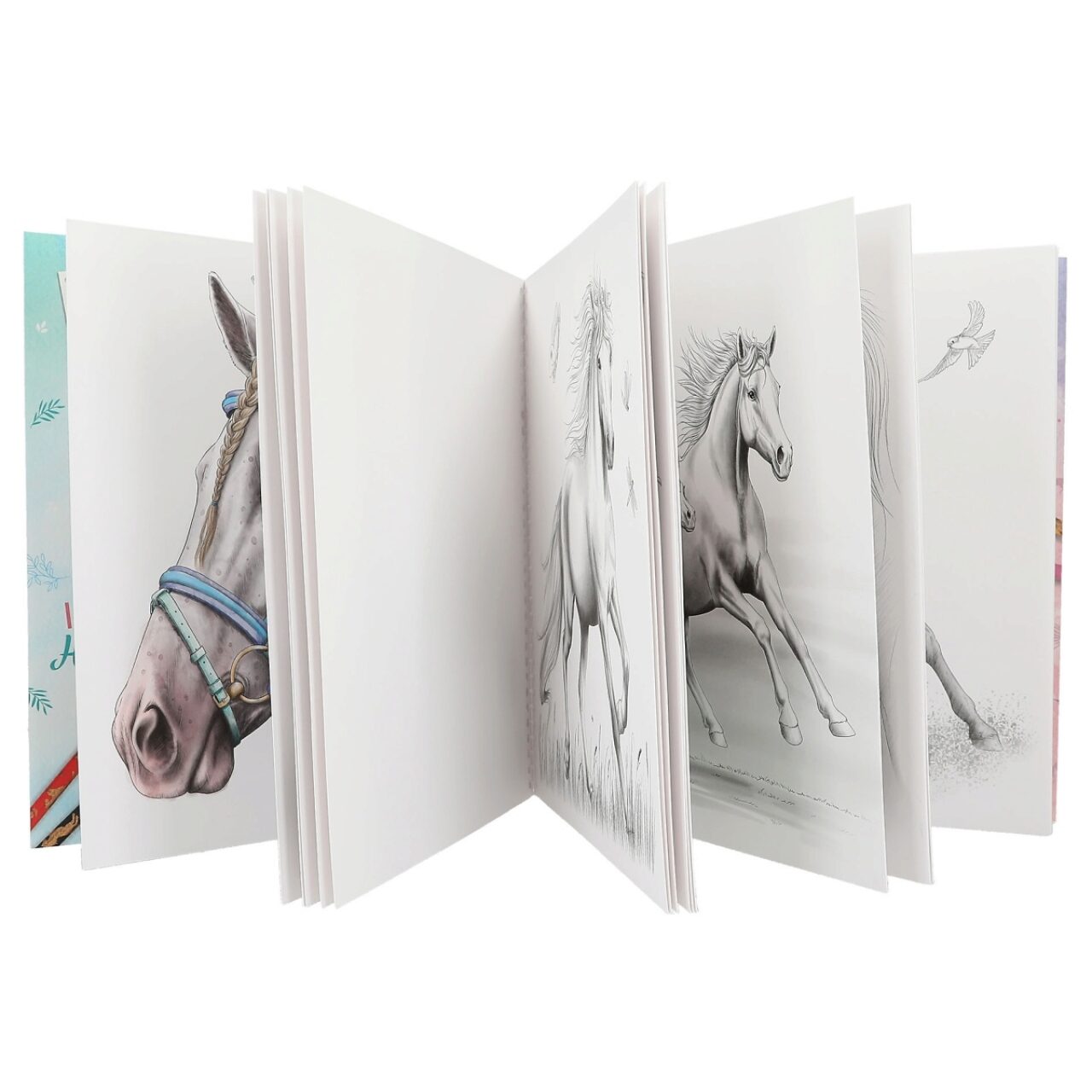 Miss Melody Malbuch - 20 Pferde-Motive zum Ausmalen