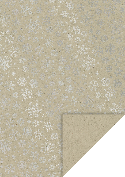 A4 Naturkarton kristallseidenmatt - BRUNNEN Qualitätspapier